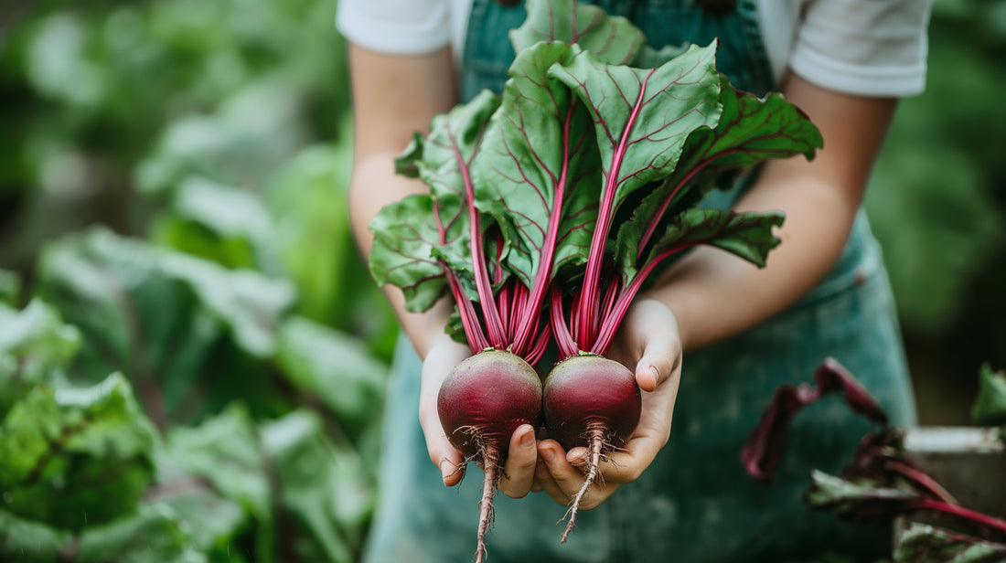 Are Beetroot Leaves Edible?