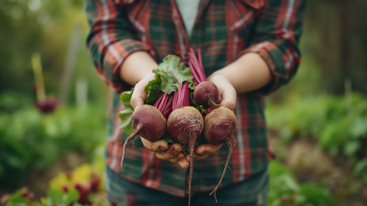 How Beetroot Is Good For Health?