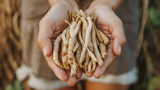 The Antioxidant Properties of Ashwagandha