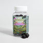 Fungi Fusion Gummies- Organic Mushroom Extract Complex 30 Servings